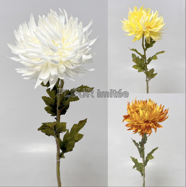 Chryzantema x1 60cm 24/240