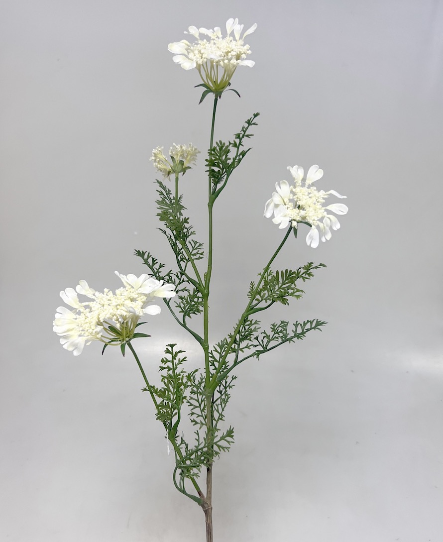 Kopr kvet.x4  95cm 12/96