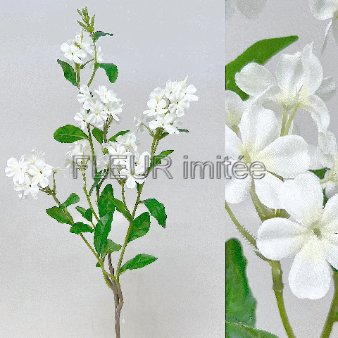 Flox x7  85cm 24/192