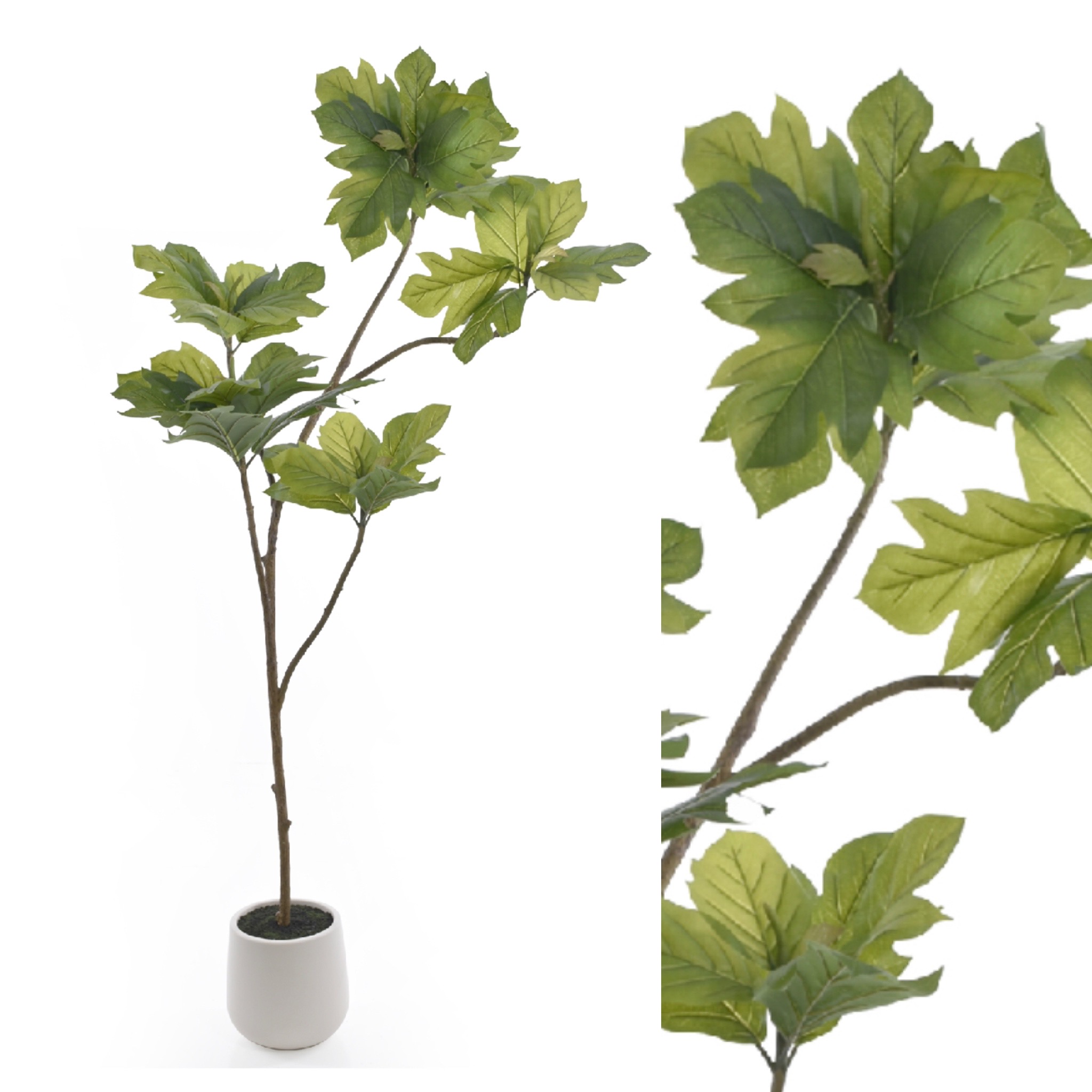 Chlebovník 250cm  1/2