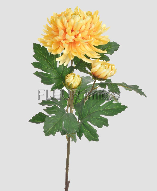 Chryzantéma x3 LUX 88cm 24/192