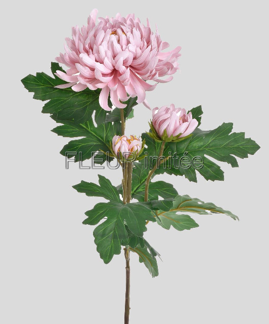 Chryzantéma x3 LUX 88cm 24/192