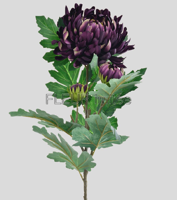 Chryzantéma x3 LUX 88cm 24/192