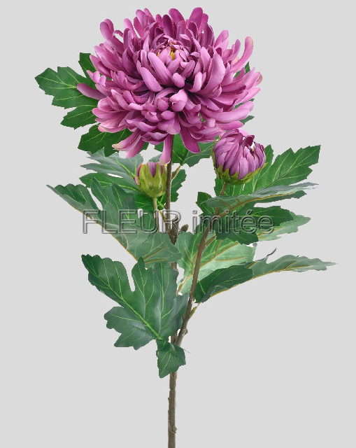 Chryzantéma x3 LUX 88cm 24/192