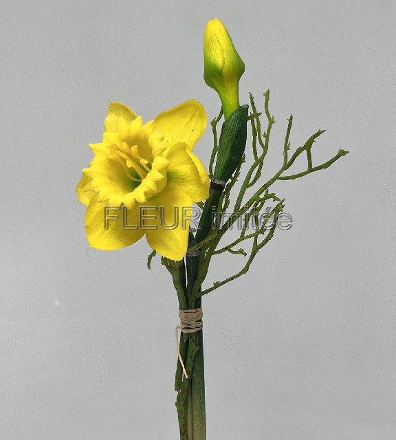 Narcis x2 latex  25cm