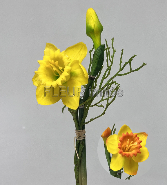 Narcis x2 latex  25cm