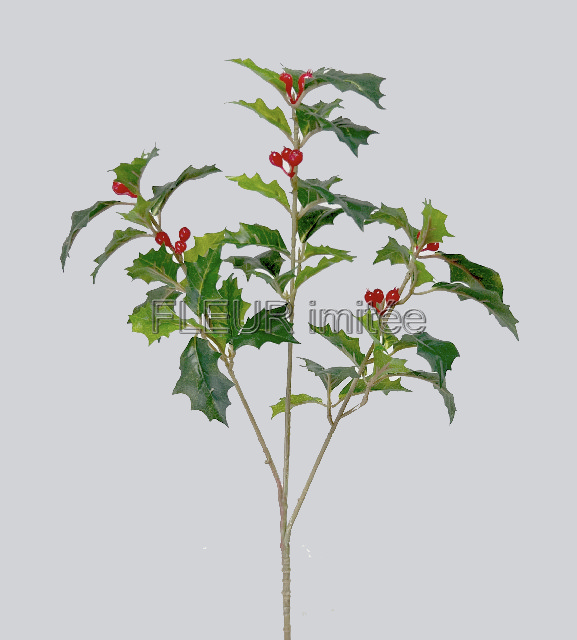 Cesmína 40cm 36/216